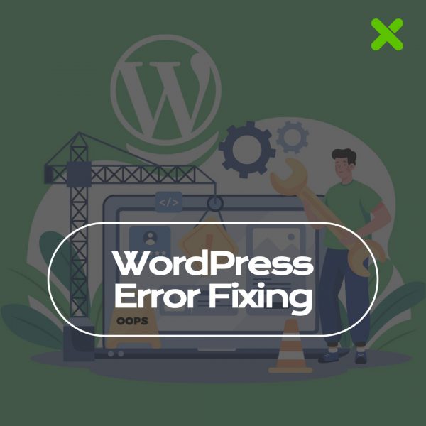 Professional WordPress Issue and Error Fixing